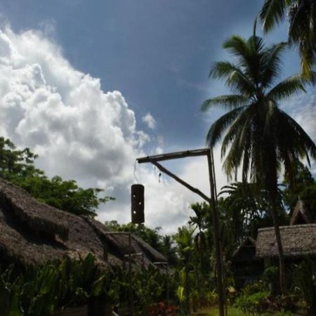 Wild Orchid Resort - Havelock Island Vijay Nagar Beach Buitenkant foto